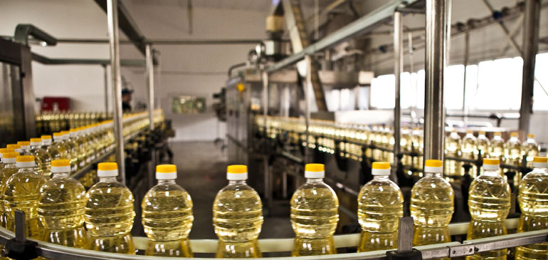 Oil