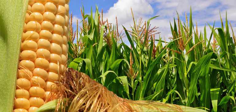 Agrolab