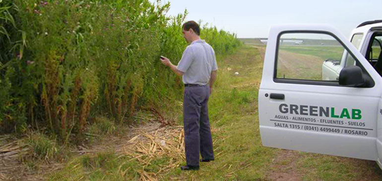 Servicios