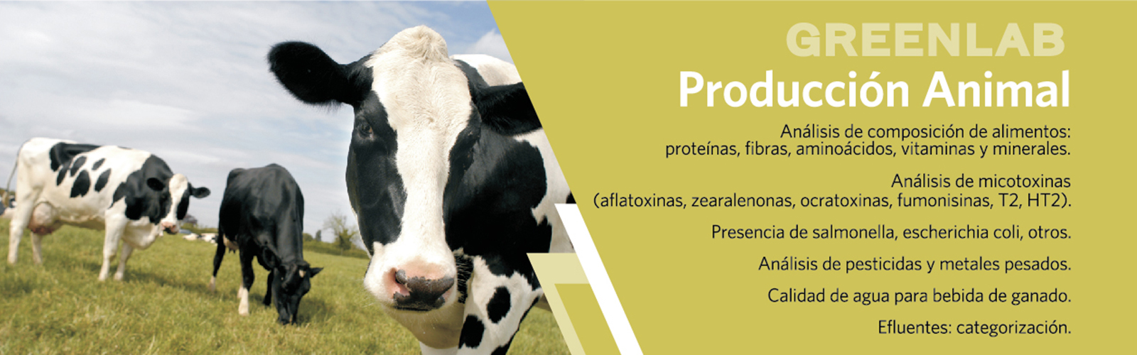 Composicion de alimentos, micotoxinas, bacterias, pesticidas y metales pesados, calidad de agua para ganado, categorizacion de efluentes